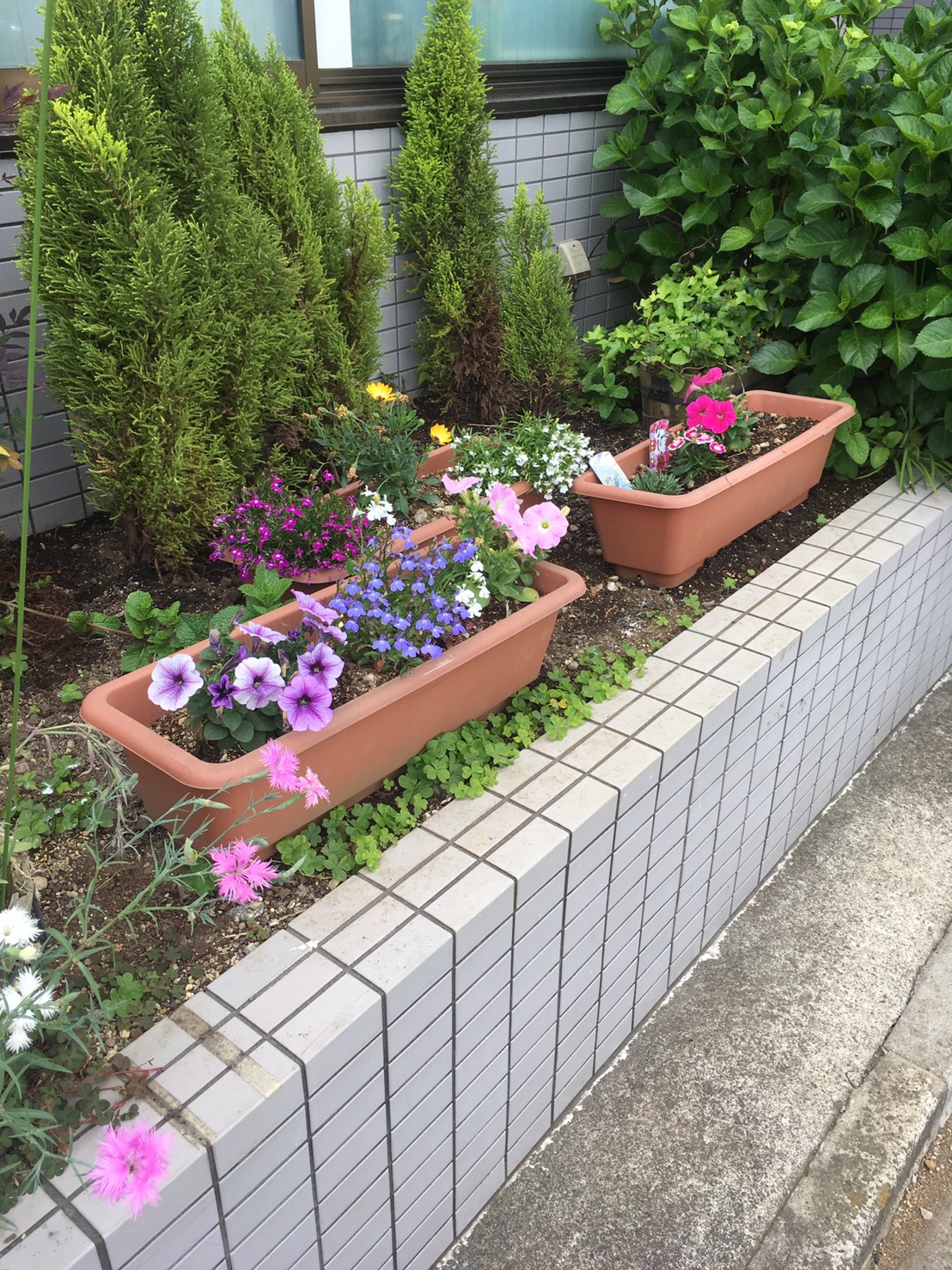 ほのぼの荘足立より～