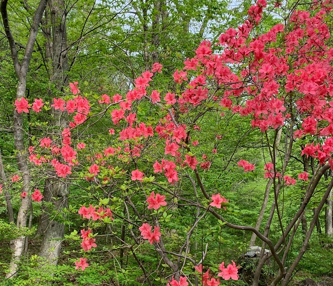 ほのぼの荘足立より