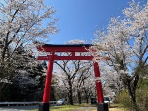 お花見でにっこり