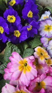 生まれ変わる1年