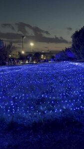 お花と新緑の季節