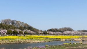 春の幸せな景色